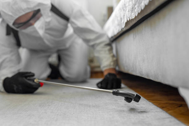 Professional Bed Bug Control technician working in Washtenaw County County, MI